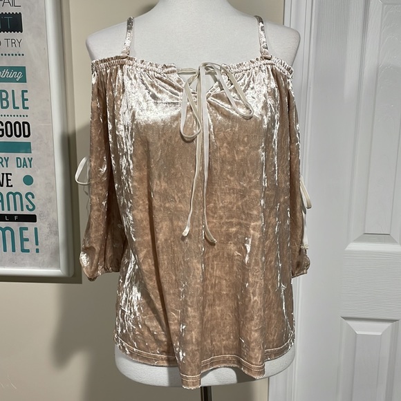 NWT hem & thread tan crushed velvet off-shoulder top. Romantic with bows. - Picture 9 of 12